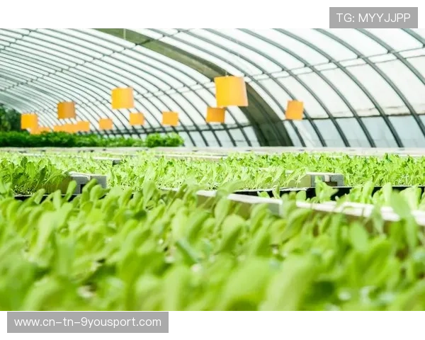 赛事组织方推动绿色餐饮供应链减少一次性用品使用，一次性餐饮用品展览会