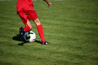 九游娱乐网站-意甲裁判语义分析系统在比赛判罚中的应用研究，意甲第三轮裁判