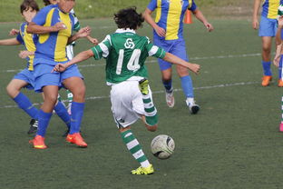 九游官网入口注册-中国足球国家队备战友谊赛调整战术策略，国足 友谊赛